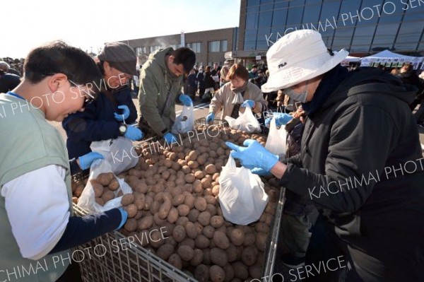 芽室産マチルダの詰め放題に奮闘する来場者（２３日正午ごろ、須貝拓也撮影）
