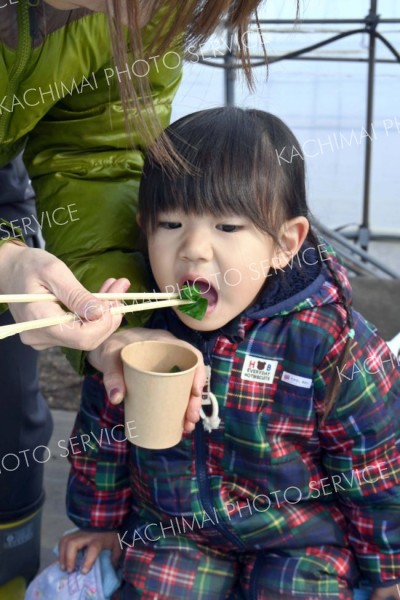 取れたてのちぢみホウレンソウをしゃぶしゃぶで食べる子ども