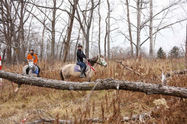 騎乗パトロールで藪の中を見回る帯広畜産大学の学生たち（助川かおる通信員撮影）