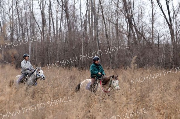 騎乗パトロールで藪の中を見回る帯広畜産大学の学生たち（助川かおる通信員撮影）