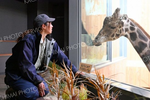 ２階観覧スペースで