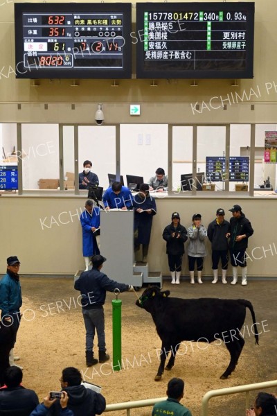 更農生が育てた黒毛和牛　平均価格上回る落札額に