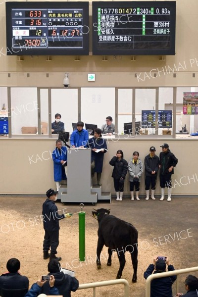 ２頭目の牛も７５万円で売ることに成功した