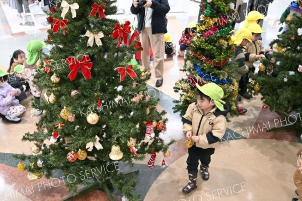 園児が飾り付けを施したクリスマスツリー（須貝拓也撮影）