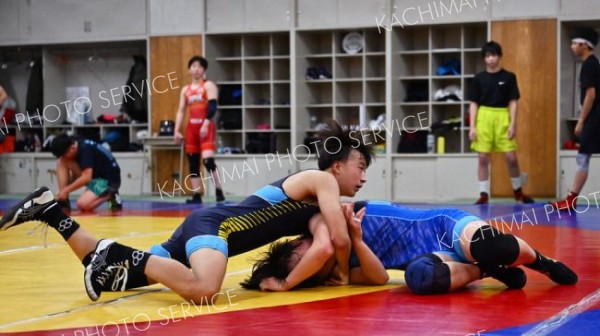 実戦形式で激しく練習する帯広北高校のレスリング部（１日、帯広北高校の道場で、塩原真撮影）