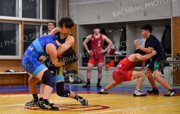 実戦形式で激しく練習する帯広北高校のレスリング部（１日、帯広北高校の道場で、塩原真撮影）