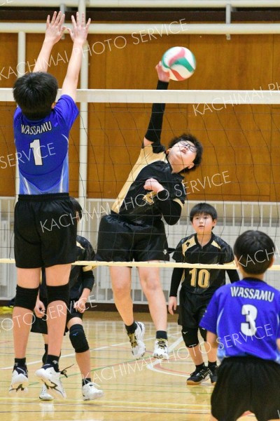 芽室小リトルザウルス準優勝　バレーＶ－ＲＩＳＥ　ＨＯＫＫＡＩＤＯチャレンジカップ小学生道東大会