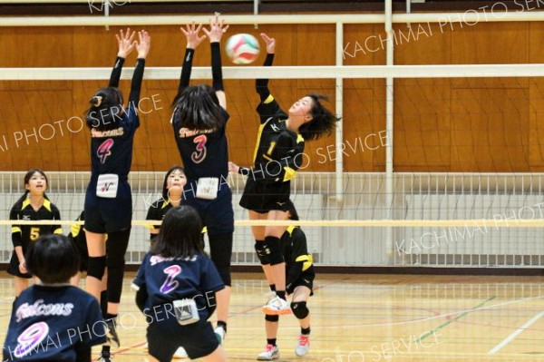 芽室小リトルザウルス準優勝　バレー５－ＲＩＳＥ　ＨＯＫＫＡＩＤＯチャレンジカップ小学生道東大会 6