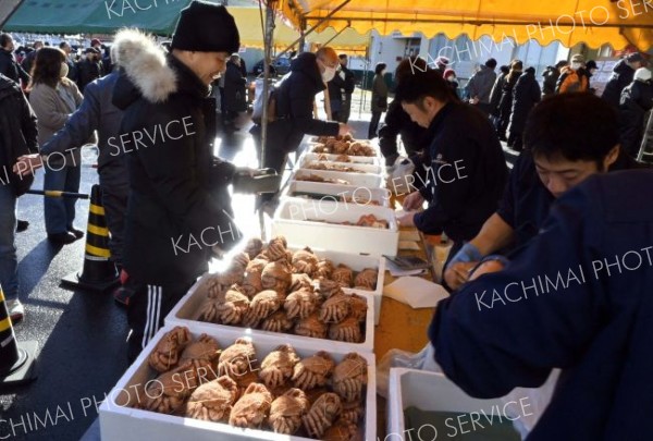 年末開催らしく、旬の毛ガニも登場。活気づいた「魚の日」