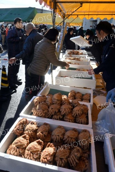 年末開催らしく、旬の毛ガニも登場。活気づいた「魚の日」