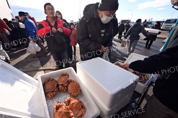 ゆでたての毛ガニなど大津産の海産物が並んだ売り場（７日午前１０時ごろ、大津漁協荷さばき所で。須貝拓也撮影）