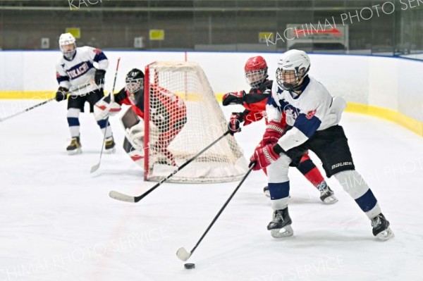 全十勝Ａ３位、全十勝Ｂは初戦で涙　道中学校アイスホッケー大会 15