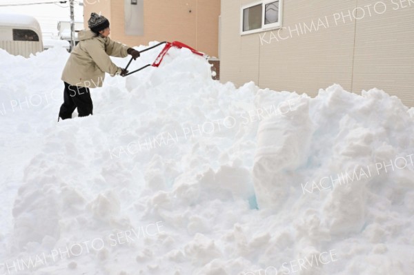 早朝から自宅前の除雪に追われる市民（１５日午前７時半ごろ、帯広市内の清流地区で。金野和彦撮影）
