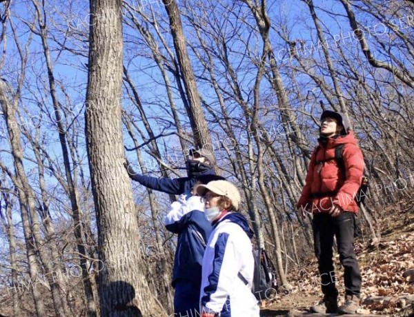 今年最後のほんべつ自然観察会