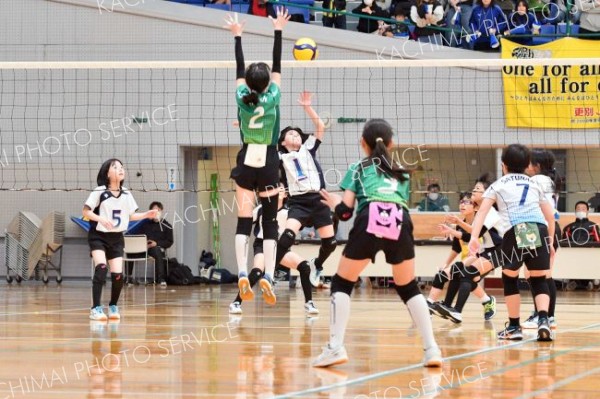 札内南が混合初Ｖ　女子は鹿追ＬＢ、男子は帯広ＪＪＢ　高橋杯全十勝小学生バレーＢクラス大会 5