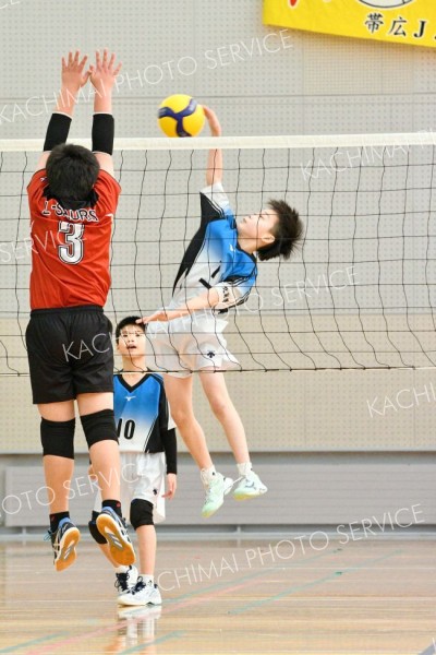 札内南が混合初Ｖ　女子は鹿追ＬＢ、男子は帯広ＪＪＢ　高橋杯全十勝小学生バレーＢクラス大会 8