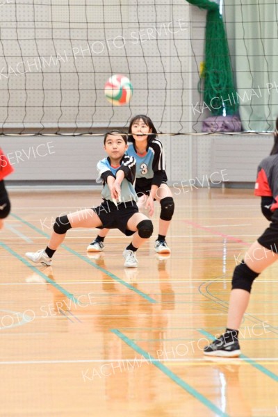 札内南が混合初Ｖ　女子は鹿追ＬＢ、男子は帯広ＪＪＢ　高橋杯全十勝小学生バレーＢクラス大会 14