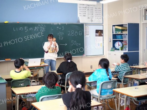 胎児の成長知り命を学ぶ　上士幌小学校