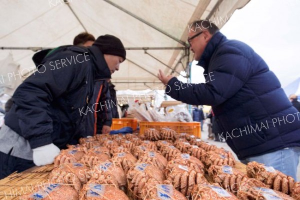 がぶり　広尾の旬　毛がにまつり盛況～写真特集