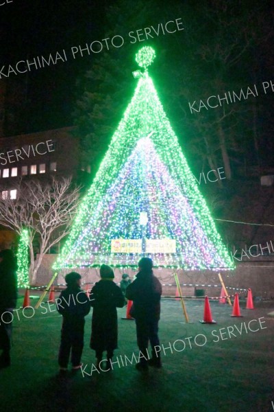 ポケットパークに設置された華やかなイルミネーション