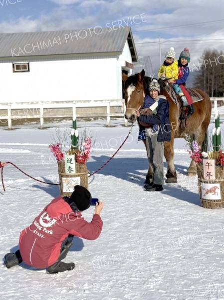 来年の干支「午」にちなみ　馬との年賀状撮影会にぎわう　鹿追