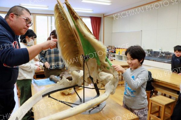 ・クジラの標本やレプリカに触れる参加者ら
