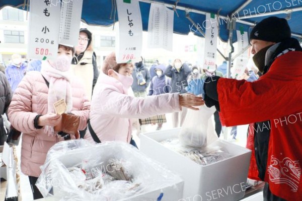 旬の海産物を買い求める人たち