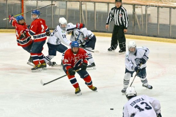 準々決勝・白樺学園―苫小牧中央（金野和彦撮影）