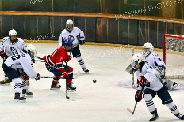 準々決勝・白樺学園―苫小牧中央（金野和彦撮影）