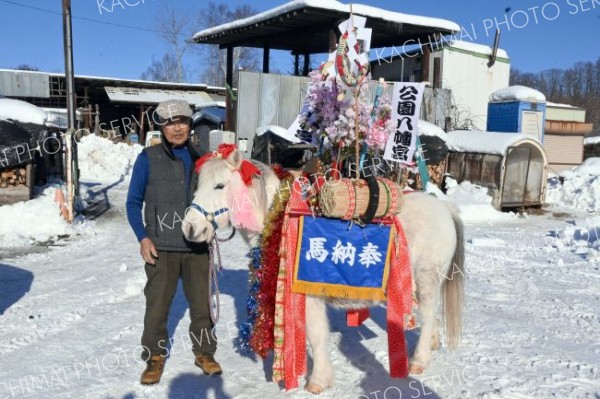午年の元日に公園八幡宮で奉納馬撮影しませんか　境内で縁起つかんで　音更