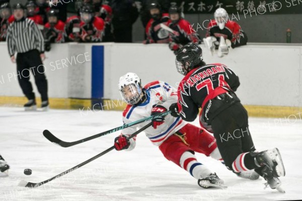 決勝・駒大苫小牧―武修館（金野和彦撮影）