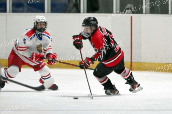 【決勝・武修館―駒大苫小牧】