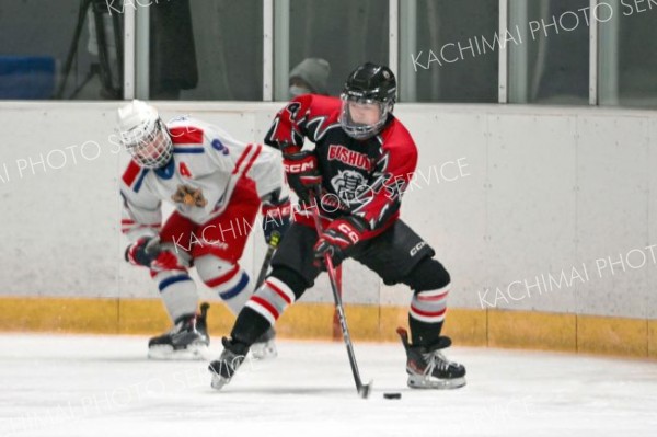 【決勝・武修館―駒大苫小牧】