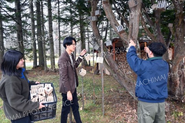 ７日に協力隊の企画「ひろおクリスマス市」　広尾