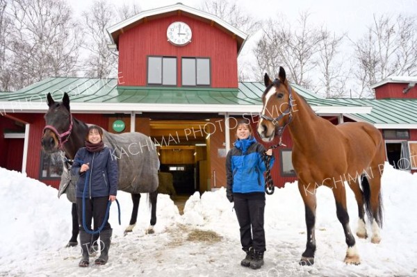 元旦恒例の馬上参拝へ準備進む　畜大馬術部