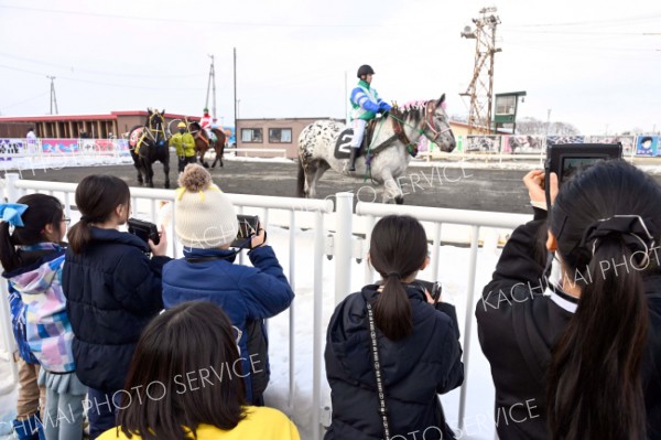 パドックで馬の写真を撮る子どもたち