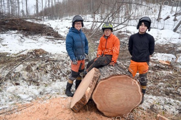 入植の歴史伝える樹齢１００年超のカラマツを伐採　池田の齋藤さん