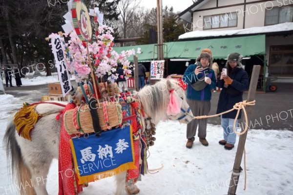 境内にポニーお目見え、初詣客ら写真撮影楽しむ　音更