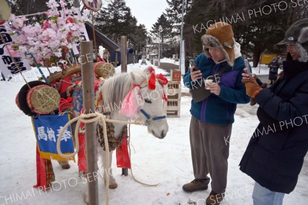奉納馬のミルク号をスマホで撮影する初詣客ら