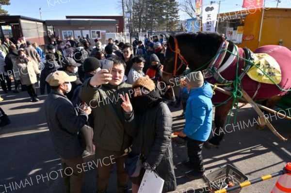 入場門付近で出迎える、ばんえい十勝ＰＲ馬のフクスケと写真を撮る来場者（２日、帯広競馬場）