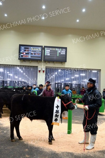 高値での取引が成立するなど活況を呈したホクレン十勝地区家畜市場の初競り