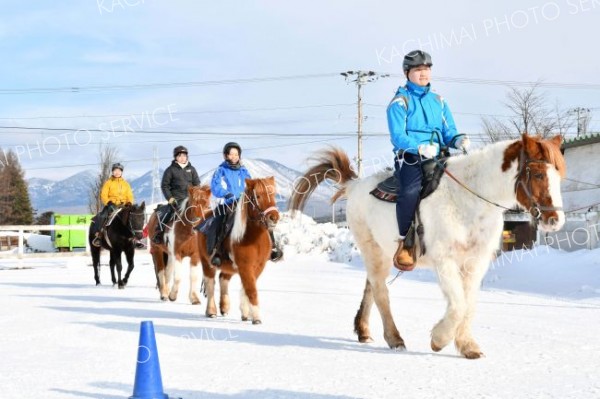 鹿追ライディングパークで「乗馬始め」　うま年の主役に期待