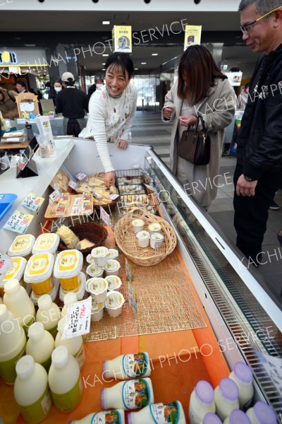 売り場担当者と会話をしながらチーズを選ぶ来場者（９日午前１１時ごろ、須貝拓也撮影）