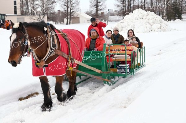 麦音ミニ冬あそびパーク開幕　馬そりで笑顔