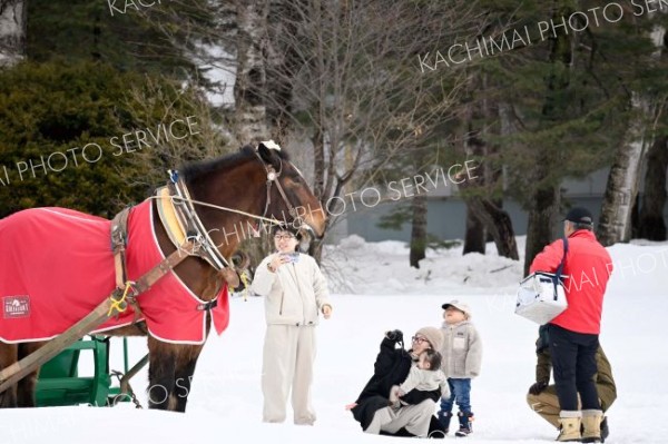 ムサシコマと触れ合う参加者たち