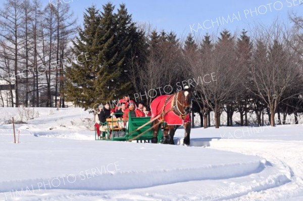 馬そり体験を楽しむ参加者たち