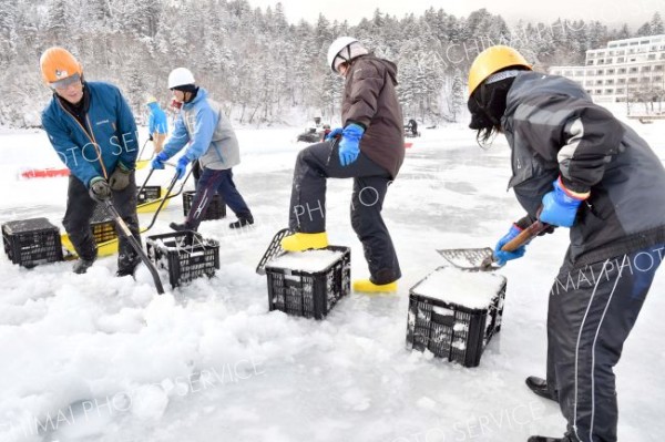 極寒の中、職人技光るイグルー造り　しかりべつ湖コタン開村に向け急ピッチ