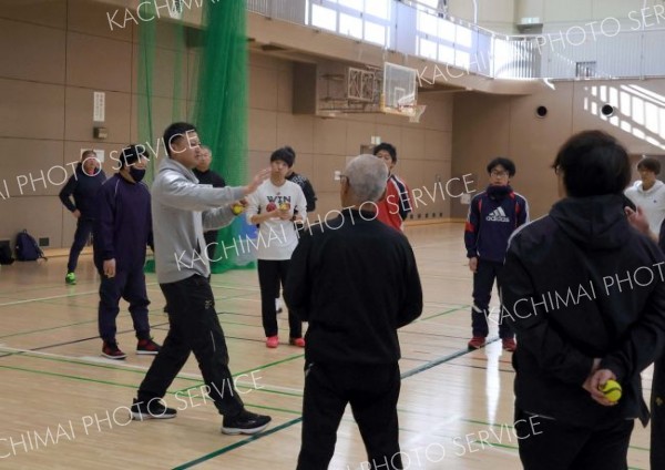 全日本軟式野球連盟