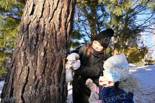 園内の木に小雪像を作る親子