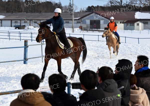 騎乗しながらむちを振る職員（１９日、音更町内の家畜改良センター十勝牧場で。塩原真撮影）